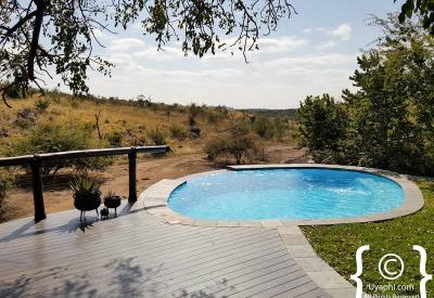 Antelope at waterhole Tuningi Safari Lodge Madikwe Game Reserve South Africa