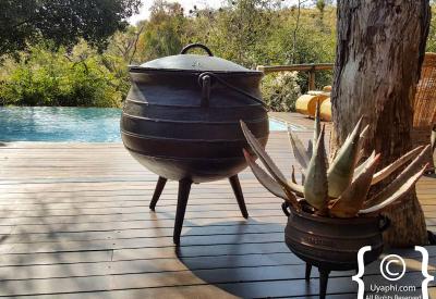 Tuningi Safari Lodge malaria-free family-friendly Madikwe Game Reserve South Africa