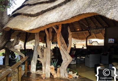 Tuningi Safari Lodge rim-flow pool wooden deck Madikwe Game Reserve South Africa