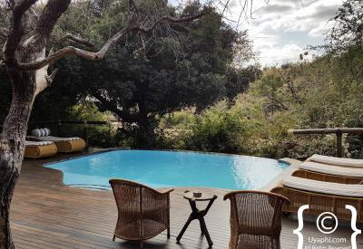 Tuningi Safari Lodge raised walkway waterhole lookout Madikwe Game Reserve South Africa