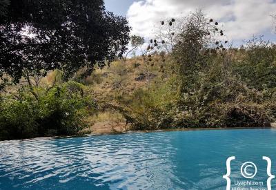 Waterhole with antelope and birds Tuningi Safari Lodge Madikwe Game Reserve South Africa