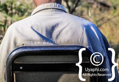 Safari In Madikwe Photo Gallery