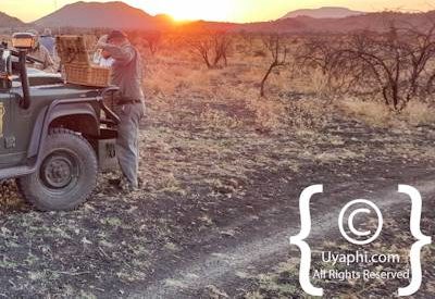 Safari In Madikwe Gallery