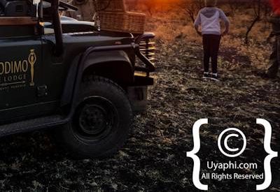 Safari In Madikwe Gallery