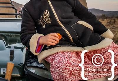 Safari In Madikwe Gallery