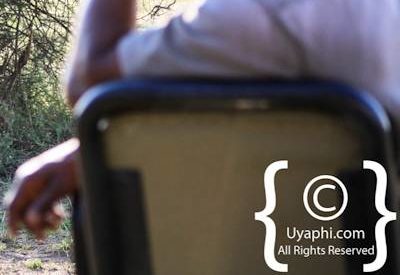 Safari In Madikwe Photo Gallery