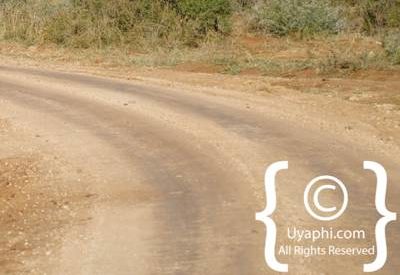 Madikwe Safari Photographs