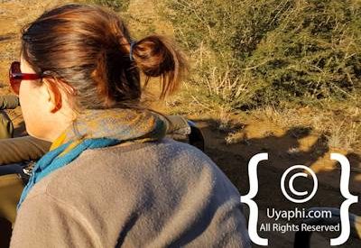 Madikwe Safari Photographs