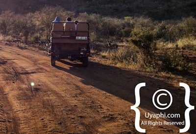 Madikwe Safari Photographs