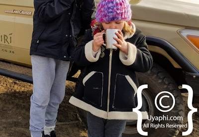 Safari In Madikwe Gallery