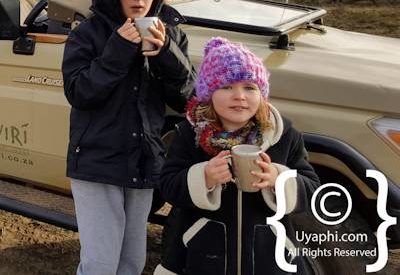 Safari In Madikwe Gallery