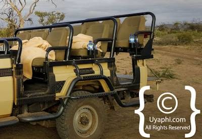 Safari In Madikwe Gallery