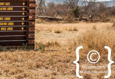 Madikwe Scenery Photo Gallery