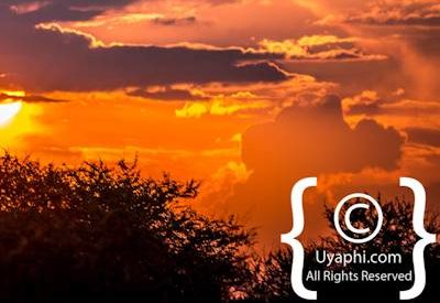 Madikwe Scenery Gallery