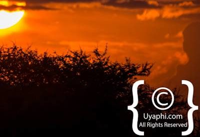 Madikwe Scenery Gallery