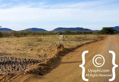 Madikwe Scenery Gallery