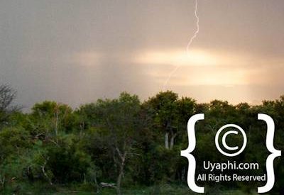 Madikwe Scenery Photo Gallery