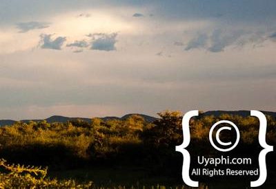 Madikwe Scenery Photo Gallery