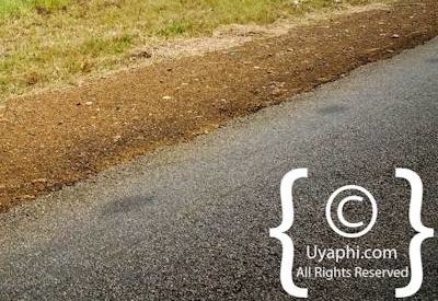 Madikwe Scenery Photo Gallery