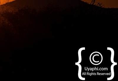 Madikwe Scenery Gallery