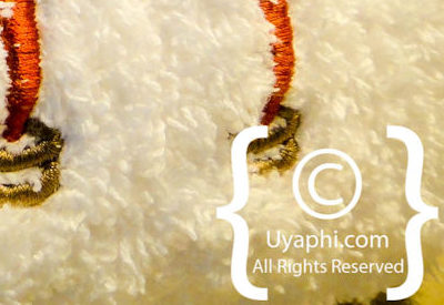 Photo Gallery of Impodimo