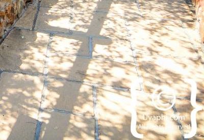 Photo Gallery of Mateya