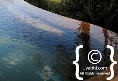 Molori Safari Lodge Photo Gallery