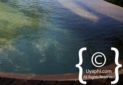 Molori Safari Lodge Photo Gallery