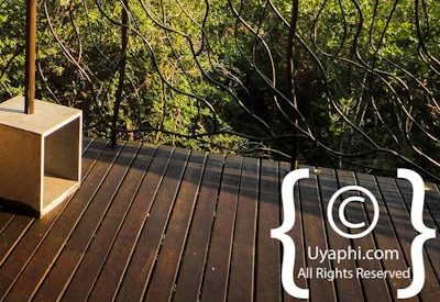 Molori Safari Lodge Photo Gallery