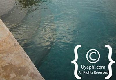 Photo Gallery of Molori