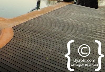 Photo Gallery of Molori