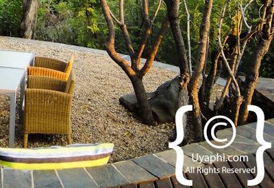 Photo Gallery of Molori