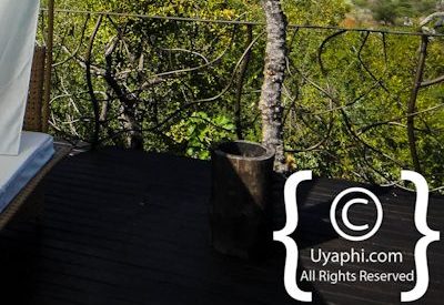 Photo Gallery of Molori