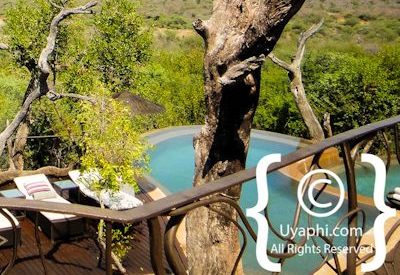 Photo Gallery of Molori