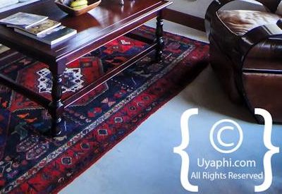 Jamala Madikwe Photo Gallery