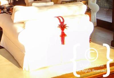 Photo Gallery of Jamala Madikwe