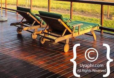 Photo Gallery of Jamala Madikwe