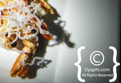 Photo Gallery of Jamala Madikwe