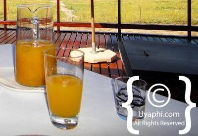 Photo Gallery of Jamala Madikwe