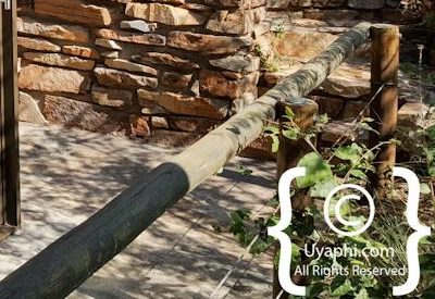 Photo Gallery of Impodimo