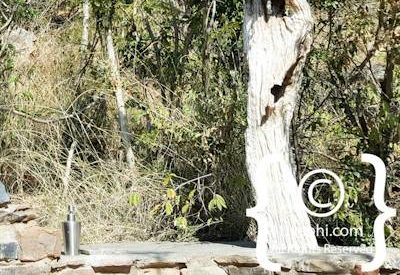 Photo Gallery of Impodimo