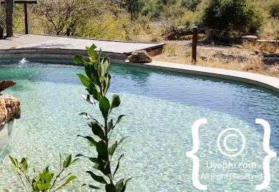 Photo Gallery of Impodimo