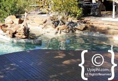 Photo Gallery of Impodimo