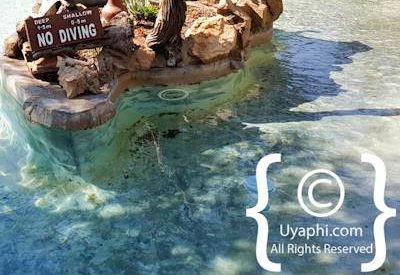 Photo Gallery of Impodimo