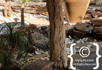 Photo Gallery of Impodimo