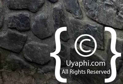 Jaci's Safari Lodge Photo Gallery