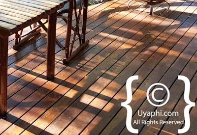 Jaci's Safari Lodge Photo Gallery