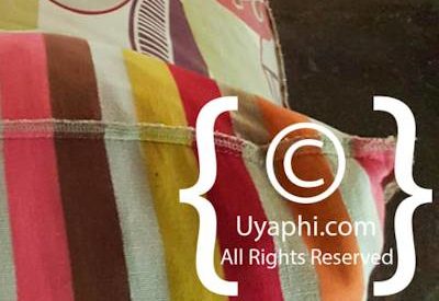 Jaci's Safari Lodge Photo Gallery