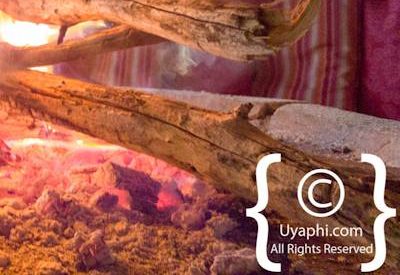 Jaci's Safari Lodge Image Gallery