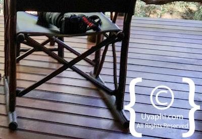 Jaci's Safari Lodge Image Gallery